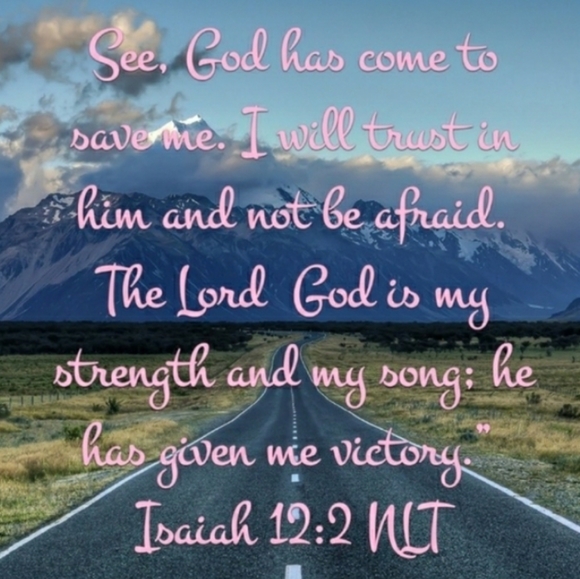 Indian Feast Mikasa RETIRED EUC Dinner Plate - Picture 11 of 11